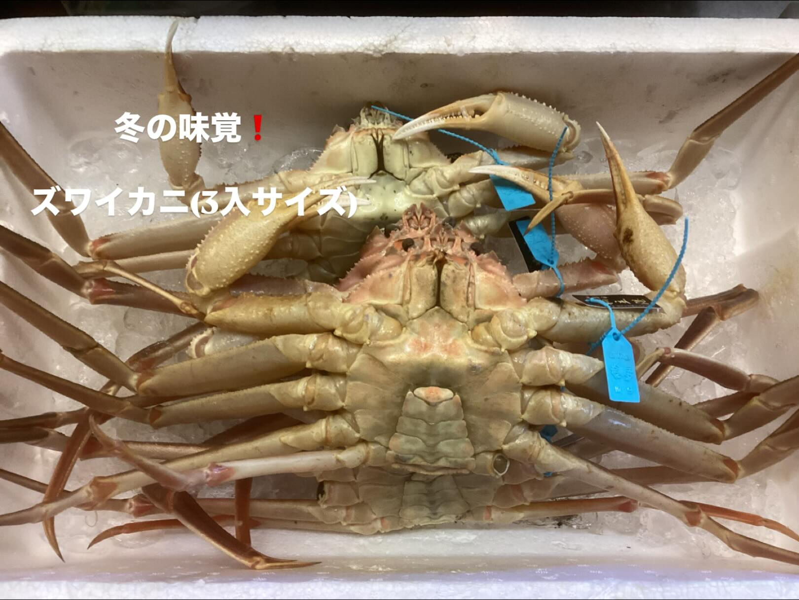 特大ズワイカニ(3入サイズ800g前後)がお値打ちで‼️