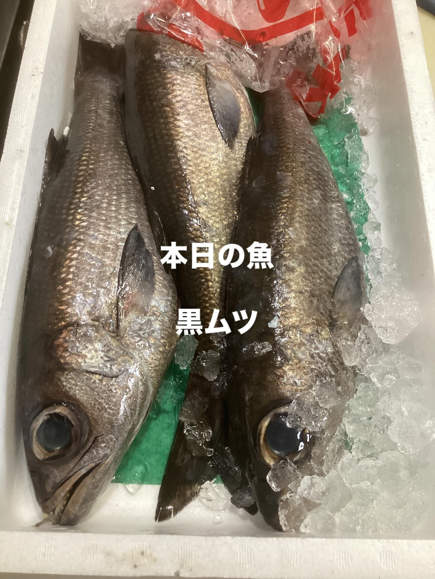 本日、良い魚入荷しております❗️