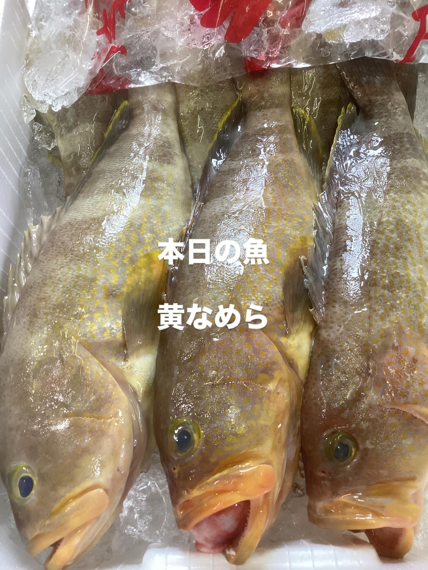 本日、良い魚入荷しております❗️
