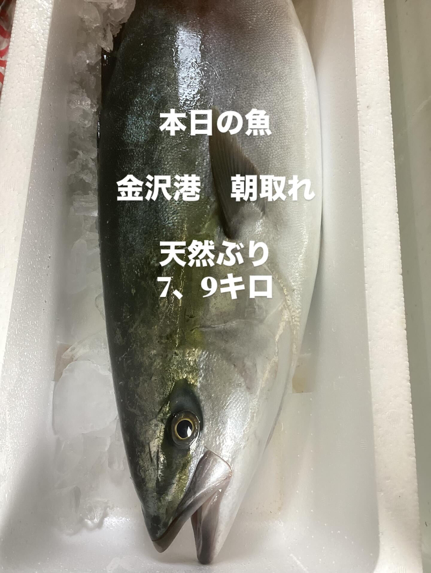 本日、金沢港より入荷❗️