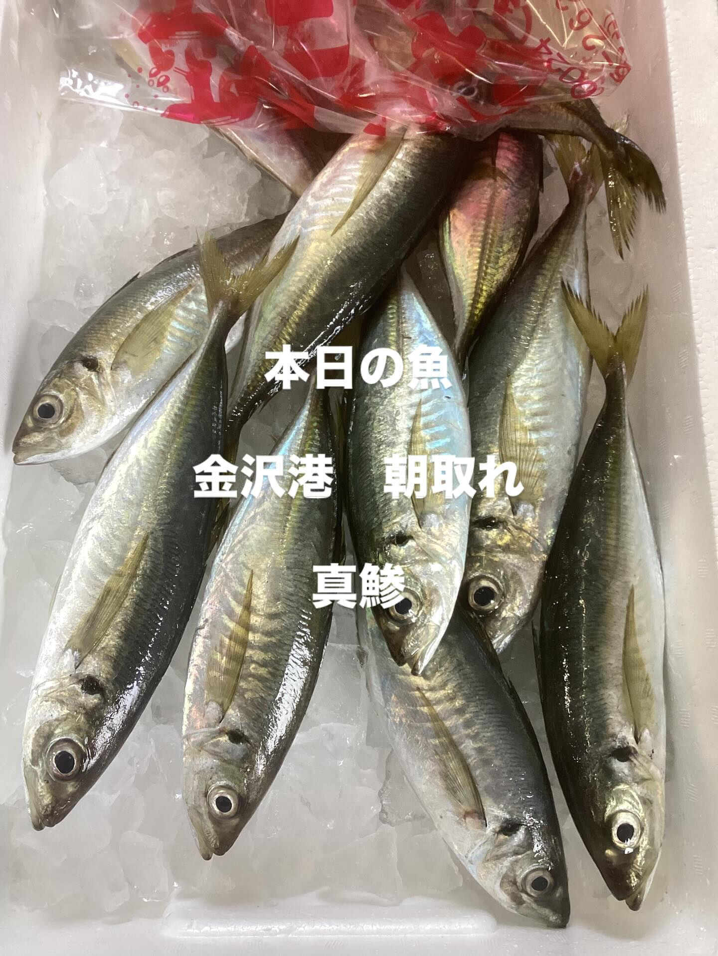 本日、金沢港より入荷❗️