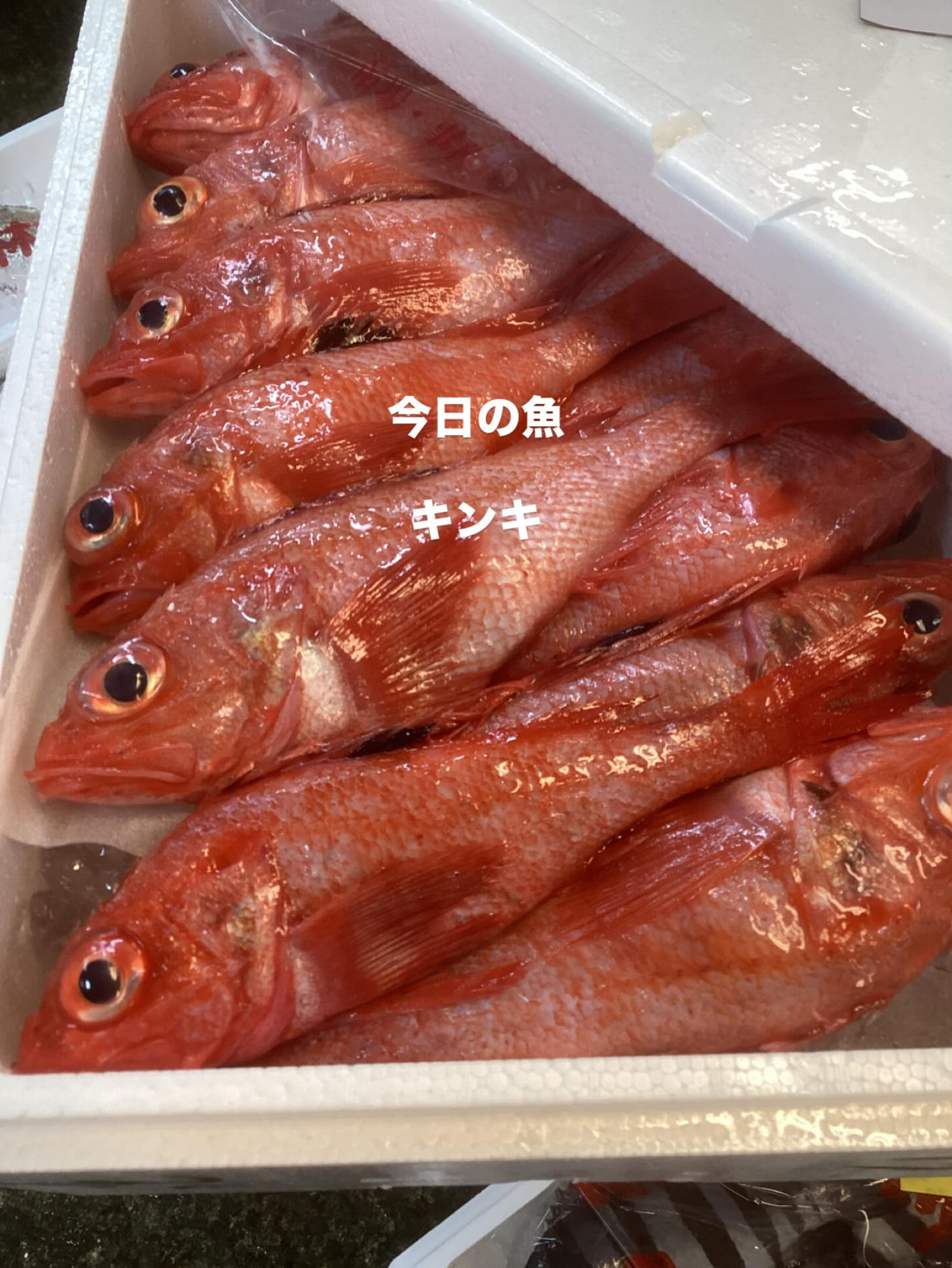 今日のお魚「キンキ」‼️