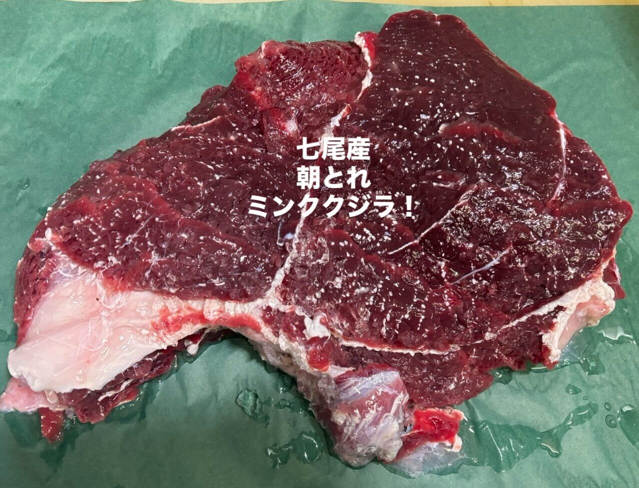 七尾産.朝とれミンククジラが入荷‼️