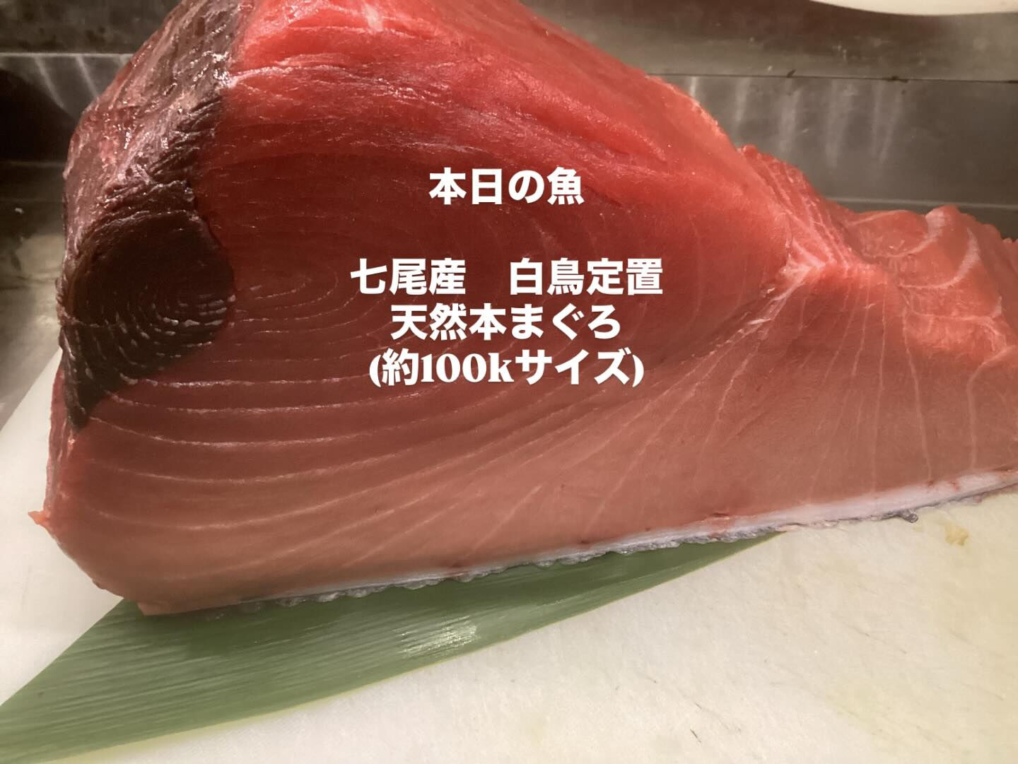 本日の魚は七尾産.白鳥定置の天然本まぐろです😊