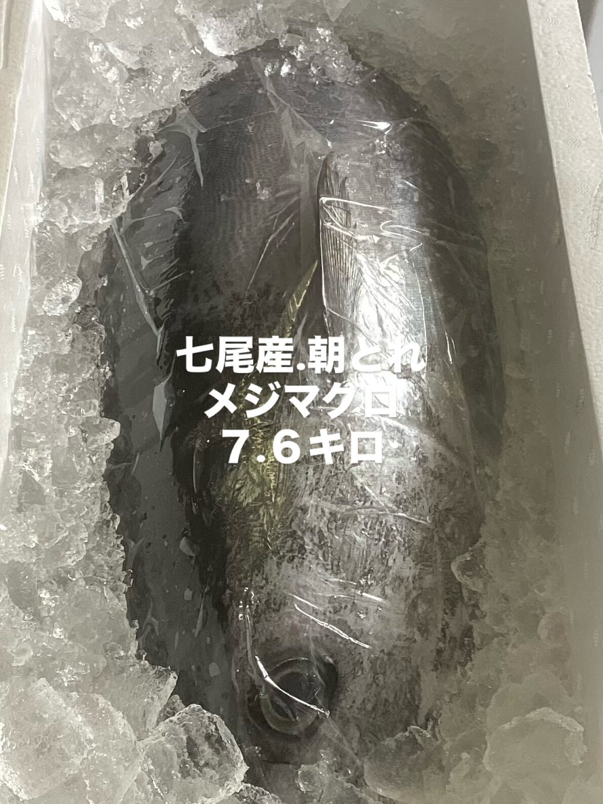 先程の天然本マグロとは別に、