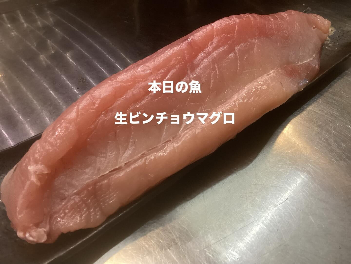 本日の魚は「生ビンチョウマグロ」です❗️