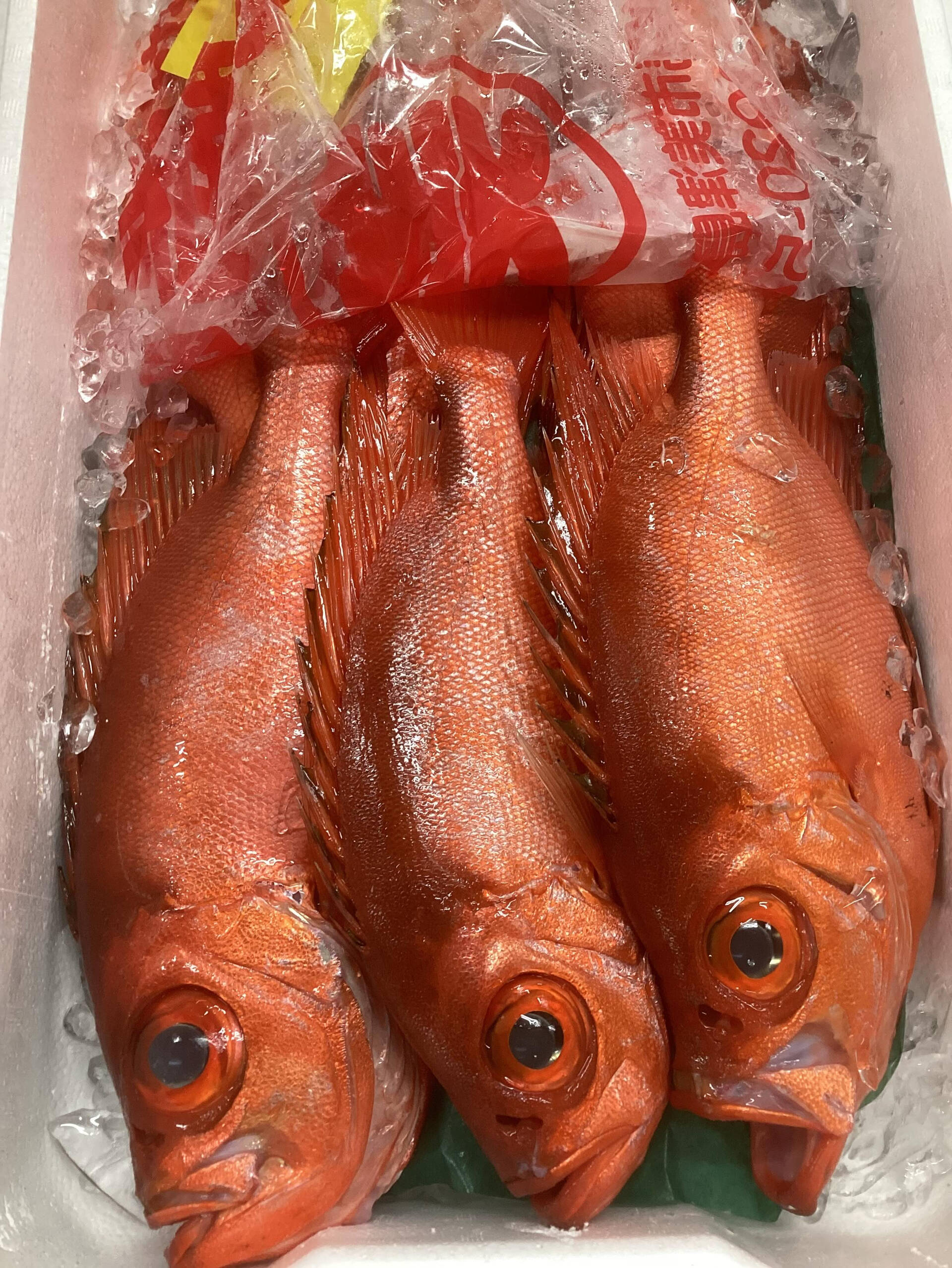 本日の魚「金八」と地物「さわら」です