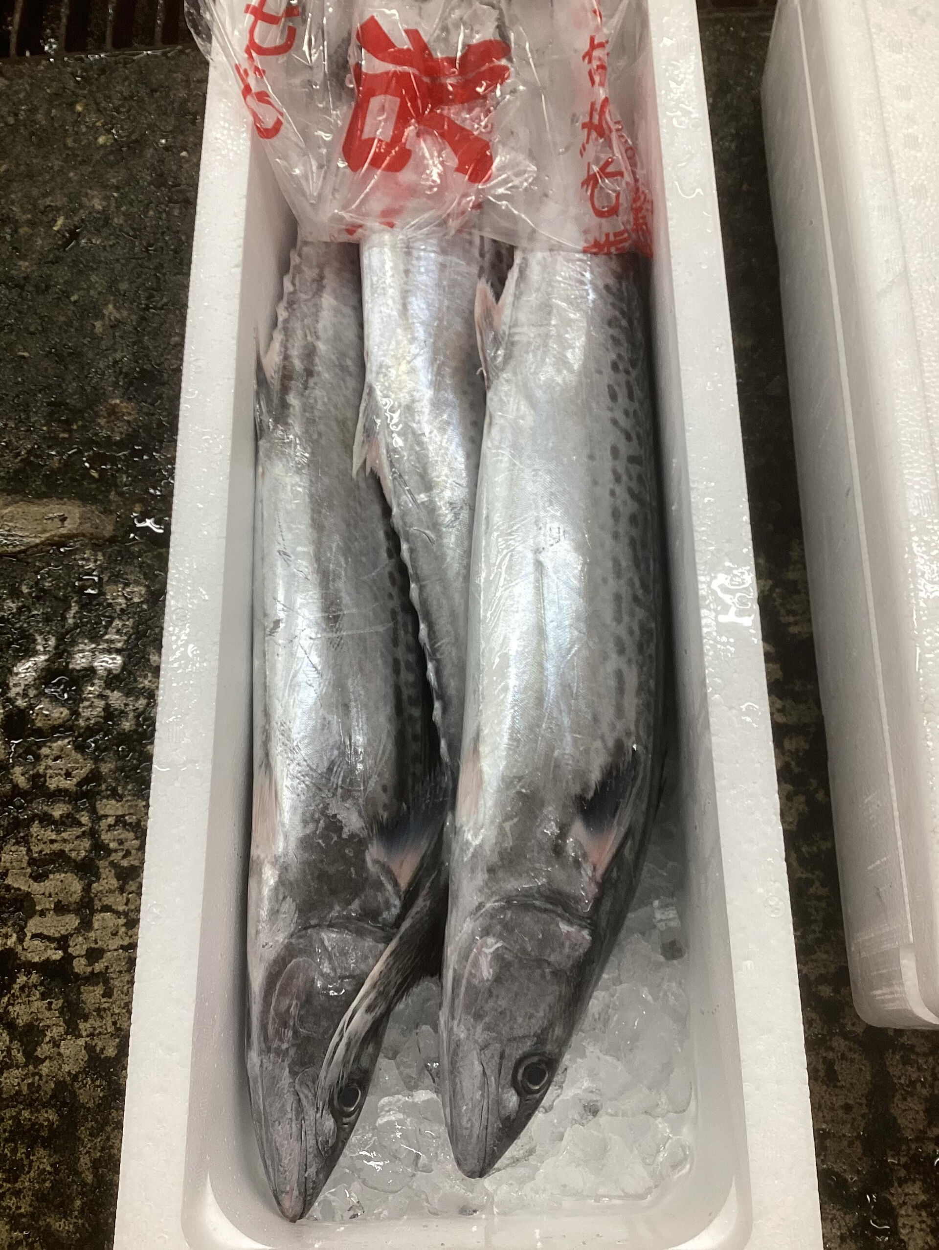 本日の魚「金八」と地物「さわら」です
